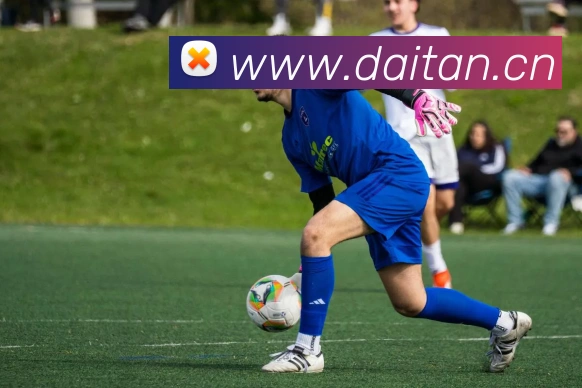 App Interface Preview