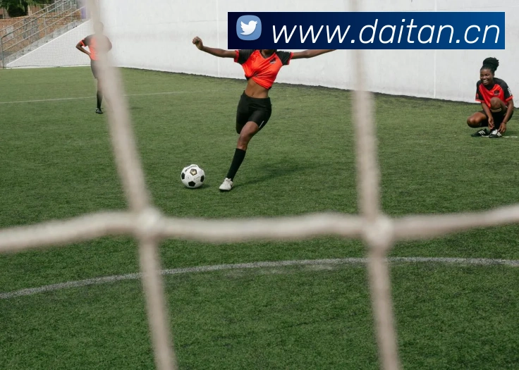 开云kaiyun官网注册所需资料APP 封面图